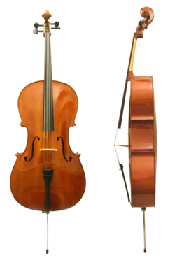 Ilustración general del violonchelo