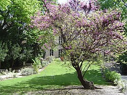 Jardín interior de Sciences Po