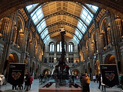 Réplica de Diplodocus en la entrada