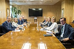 Reunión de la AMCESFI