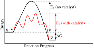 Diagrama genérico de energía potencial mostrando el efecto de un catalizador en una reacción exotérmica.