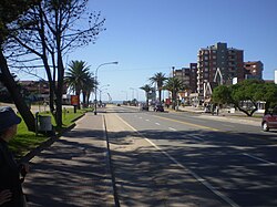 Vista aérea de la zona forestada de Pinamar