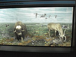 Diorama en el Museo Municipal de Historia Natural de Milán