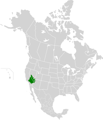 Mapa del desierto de Mojave