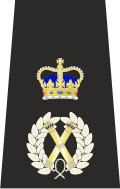 Epaulette de comisionado asistente