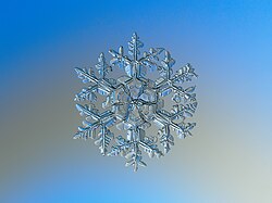 Copo de nieve natural de gran tamaño