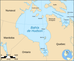 Fauna de la Bahía de Hudson