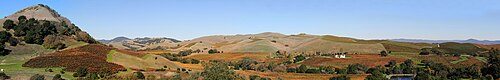 Viñedos extensos situados en un valle agrícola con clima mediterráneo oceánico en California.