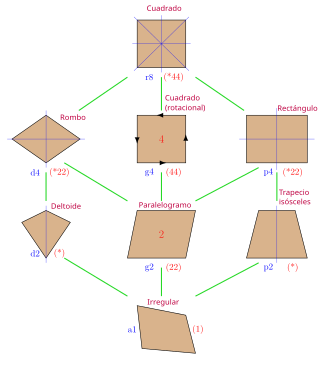 Jerarquía de cuadriláteros