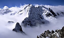 La Arista Bianco (Biancograt)
