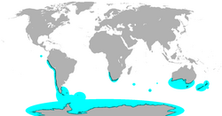 Mapa detallado de la distribución mundial de los pingüinos
