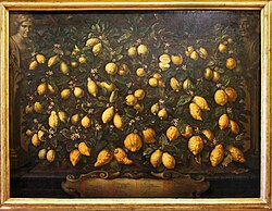 Pintura de Bartolomeo Bimbi