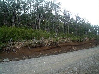Capas de tefra expuestas en el camino hacia la base del volcán Villarrica
