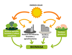 Ciclo de la biomasa