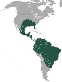Mapa de distribución de Dasypus novemcinctus