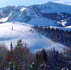Montañas y nieve en Utah