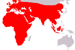 Mapa esquemático de la distribución geográfica de la subfamilia Erinaceinae