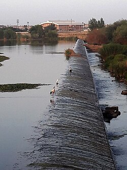 Azud en el río Guadiana