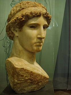 Copia romana de la cabeza de Atenea Lemnia en el Museo Cívico Arqueológico de Bolonia
