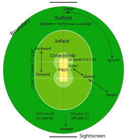 Esquema y datos básicos de un partido de críquet