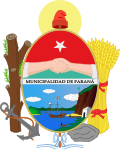Bandera del Departamento Paraná