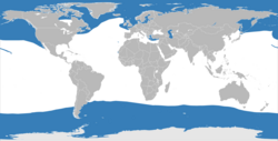 Mapa de distribución mundial de las focas en azul