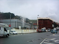 Planta de Alfa microfusión