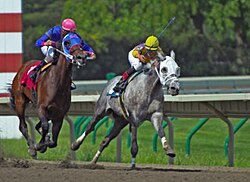 Carreras de caballos