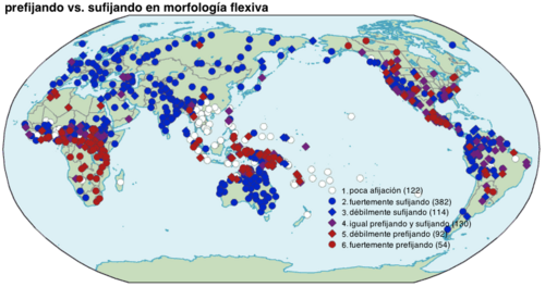 Comparativa tipológica sobre la sufijación y prefijación en las lenguas del mundo.