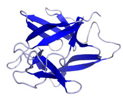 Estructura molecular de la Interleucina-1