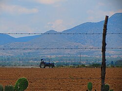 Actividad agrícola en el municipio de El Llano