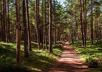 Paisaje boscoso y costero del Parque nacional de Slītere