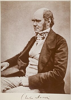 Retrato de Charles Darwin alrededor de 1854