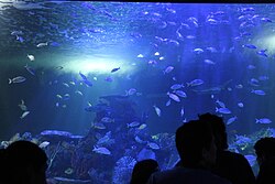 Acuario Inbursa