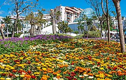 Orchidarium de Estepona