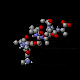Animación de moléculas con estructura interna