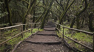 Paisaje natural con senderos propicios para la actividad física al aire libre.