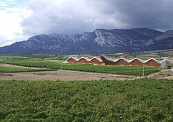 Bodegas Ysios en Laguardia, Álava