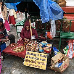 Tienda comercial con alimentos para monos en Nepal.