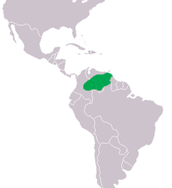 Esquema taxonómico del cocodrilo del Orinoco