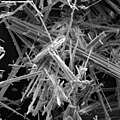 Fibra de amianto vista al microscopio electrónico