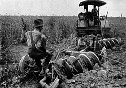 Tractor arando un campo de alfalfa a principios del siglo XX
