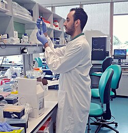 Un científico haciendo estudios en un laboratorio.