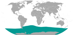 Mapa de distribución del elefante marino del sur