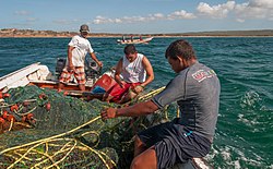 Pesca artesanal en la Isla de Margarita, Venezuela