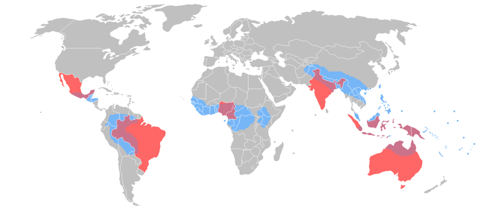 Mapa de diversidad lingüística