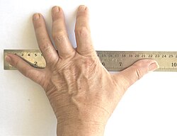 Representación de la medición con el palmo