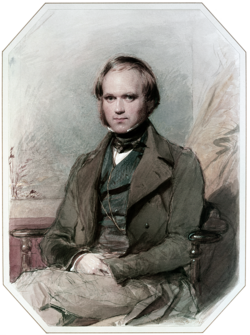 Retrato de Charles Darwin