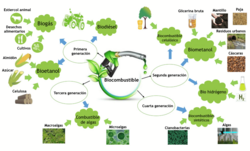 Esquema ilustrativo de tipos y generación de biocarburantes.