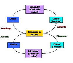 Bucle de realimentación negativa